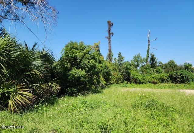 Old Orchard 1st Add - Land