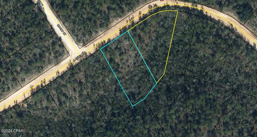Large lot at 169 x 332 (02-2N-11-0095-2060-0020) and sellers also own the lot next door (irregular 292 x 302, with an opportunity to purchase both lots side by side.  This lot is ready to be cleared for your summer or permanent home.  Enjoy the water skiing, fishing in the pristine Compass Lake.  Great location off Highway 231 going South to Panama City or North to Marianna for shopping and restaurants.  Get away from the city life and enjoy the beautiful wildlife and nature.  Access to 2 lakes and for a fee of $135 (not mandatory), you can enjoy the amenities which include the Clubhouse, golf driving range, tennis courts, campgrounds, swimming pool access and much more. Please check the Compass Lake in the Hills website for some great information.  This lot is ready to be cleared for your dream home.
Measurements/Dimensions of parcel must be verified by Buyer or Buyers Agent