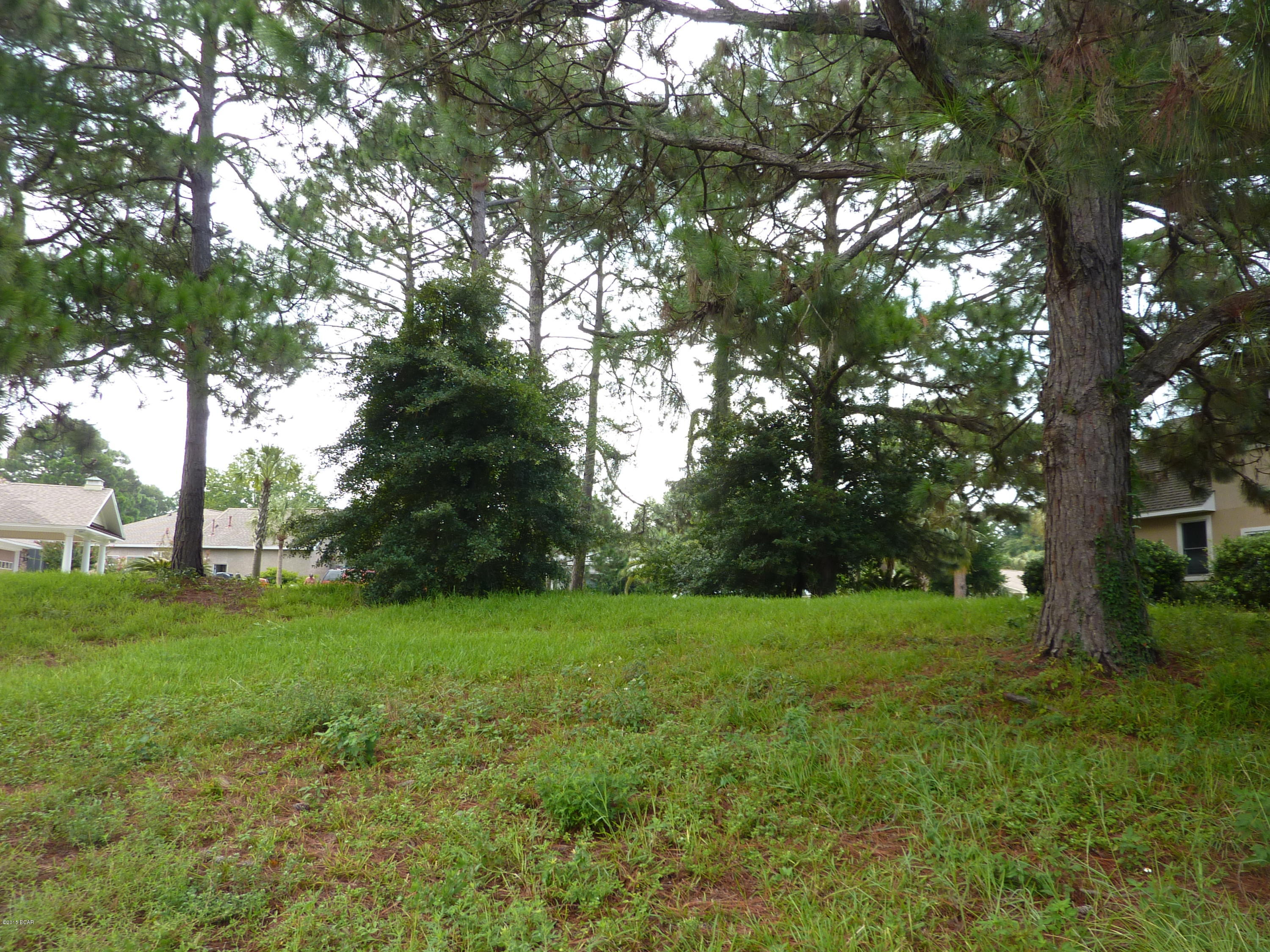 Bear Point - Residential