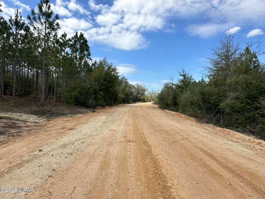 Fresh opportunity to own a versatile 14+/- acre tract suited for recreation, outdoor enjoyment, or a private hunting retreat. The property features young planted pines and a layout that supports a variety of uses. Bring your horses, ATVs, and hunting gear--there's plenty of room to make it your own. Access is available to I-10, Hwy 79, Hwy 90, and the Panama City beaches. Additional land available.
