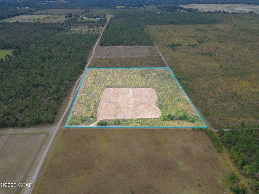 Beautiful piece of property with homesite area already cleared just waiting on your home plans to become a reality. Property features 3 year old loblolly pines. Plenty of wildlife. This peaceful spot is conveniently located to Merritts Mill Pond, Blue Springs Recreation area, just minutes to downtown Marianna, as well as approximately 45 minutes to Dothan Al. Deed restrictions do apply to protect your investment.