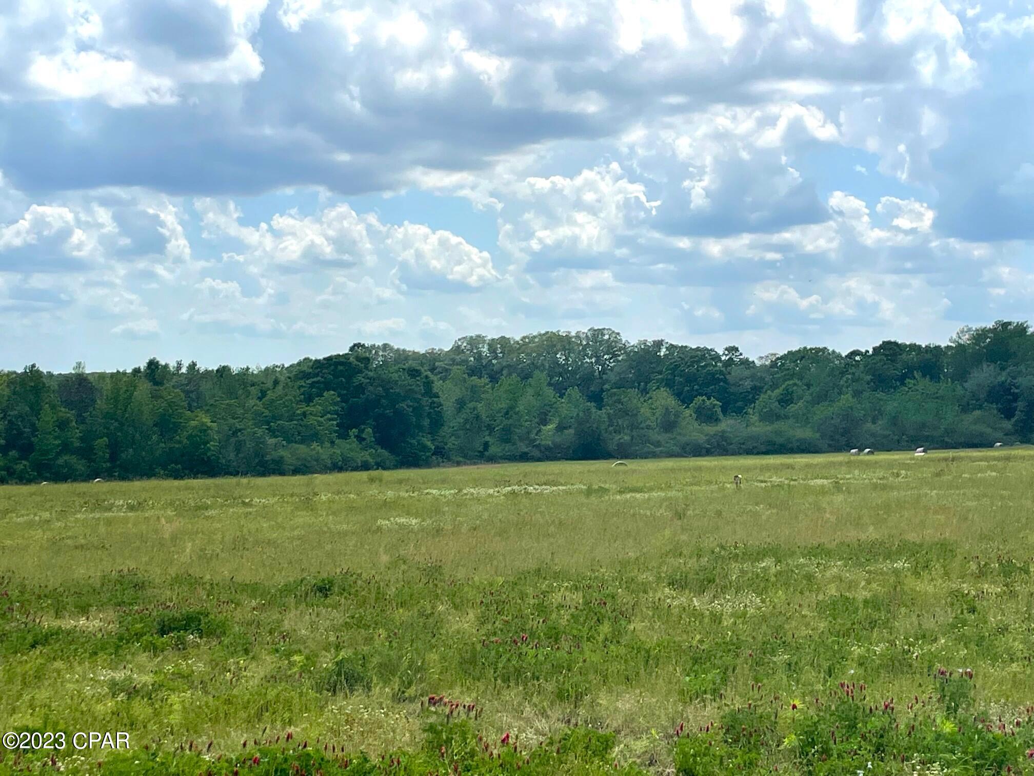 No Named Subdivision - Land