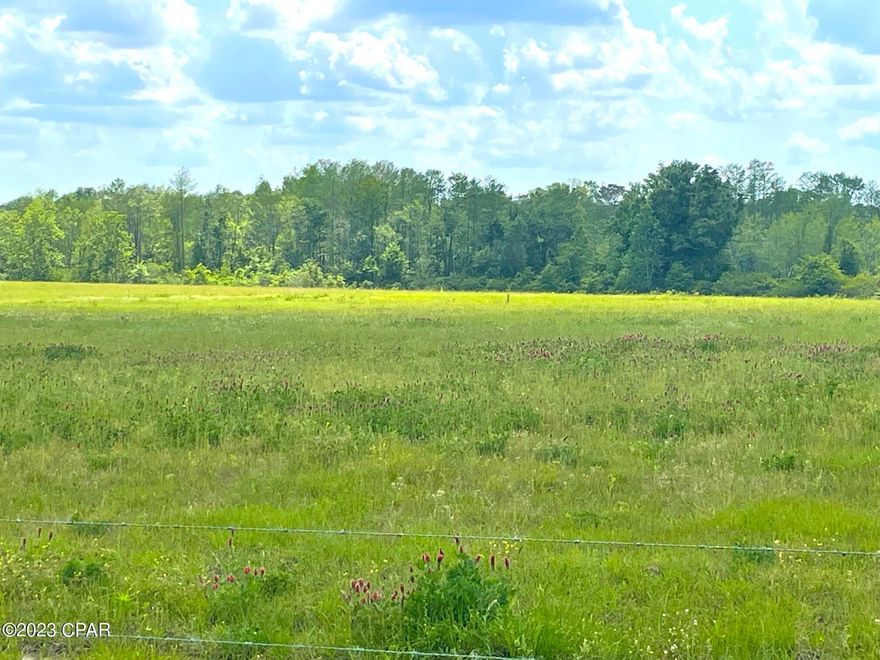 Gorgeous rolling hills, established Coastal Grass with red clover scattered over the approximately 38.18 Acres. This property is being cut out of a larger parcel so a survey will be needed to establish the true lines and acreage. Currently using the road and fencing to establish the lines. This property offers a great homesight and allowing you to bring your horses, chickens and equipment to work your mini farm. Parts of the property has 5 strand barbed wire fencing. Property will have deed restrictions limiting to new constructed homes and no less than 1500 H/C Sq Ft . No mobile homes. Miles of dirt roads for horseback or ATV riding. Please see the details, deed restrictions in documents  and photos. Thanks