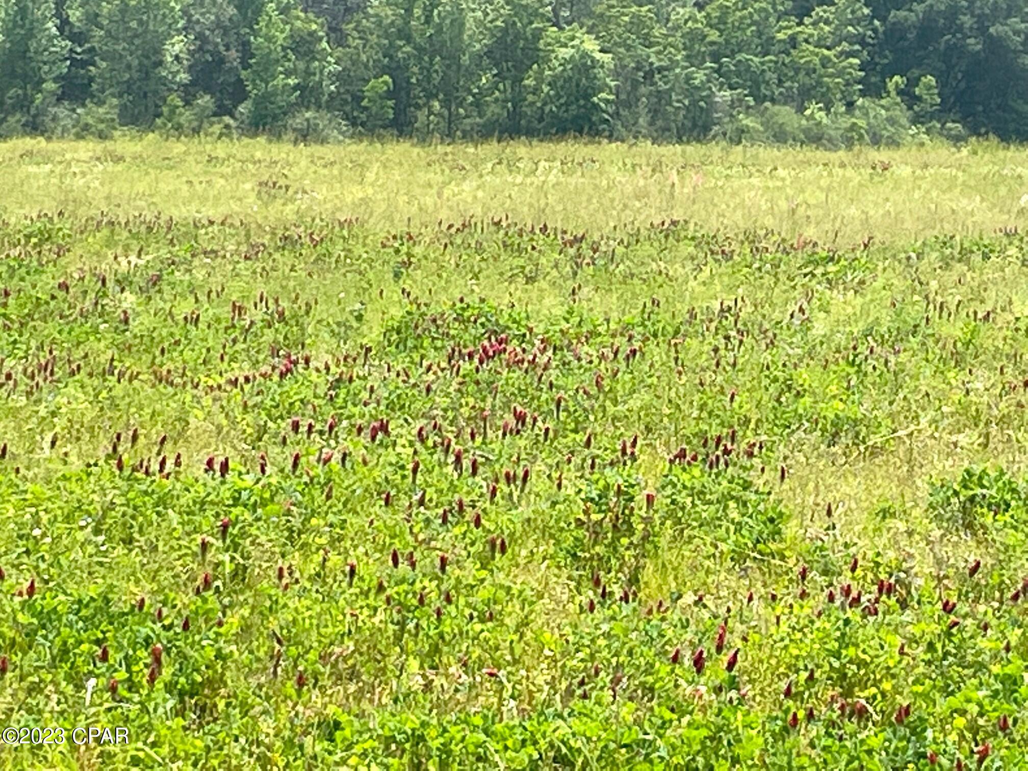 No Named Subdivision - Land