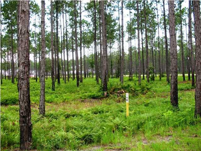 Rivercamps On Crooked Creek - Land