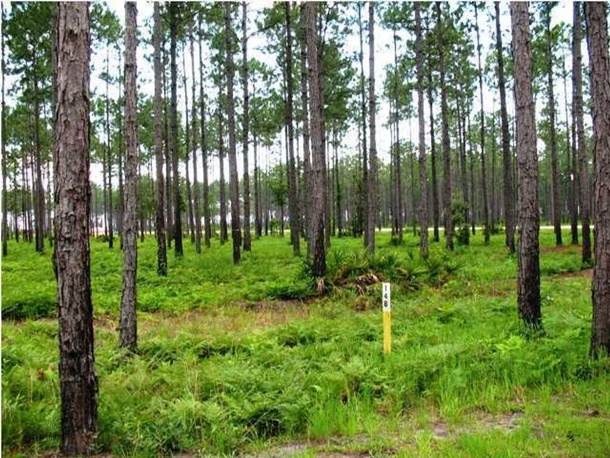 Build your dream home on this beautiful lot located in the exclusive development of RiverCamps on Crooked Creek with only 405 planned homes on 1500 acres of a natural wooded preserve on the banks of West Bay.  This property is enhanced by many amenities such as the River House with pool, pavilion and fitness center, hiking trails and boat ramp to launch your boat, kayaks and canoes, creating a lifestyle for the outdoorsman or naturalist.