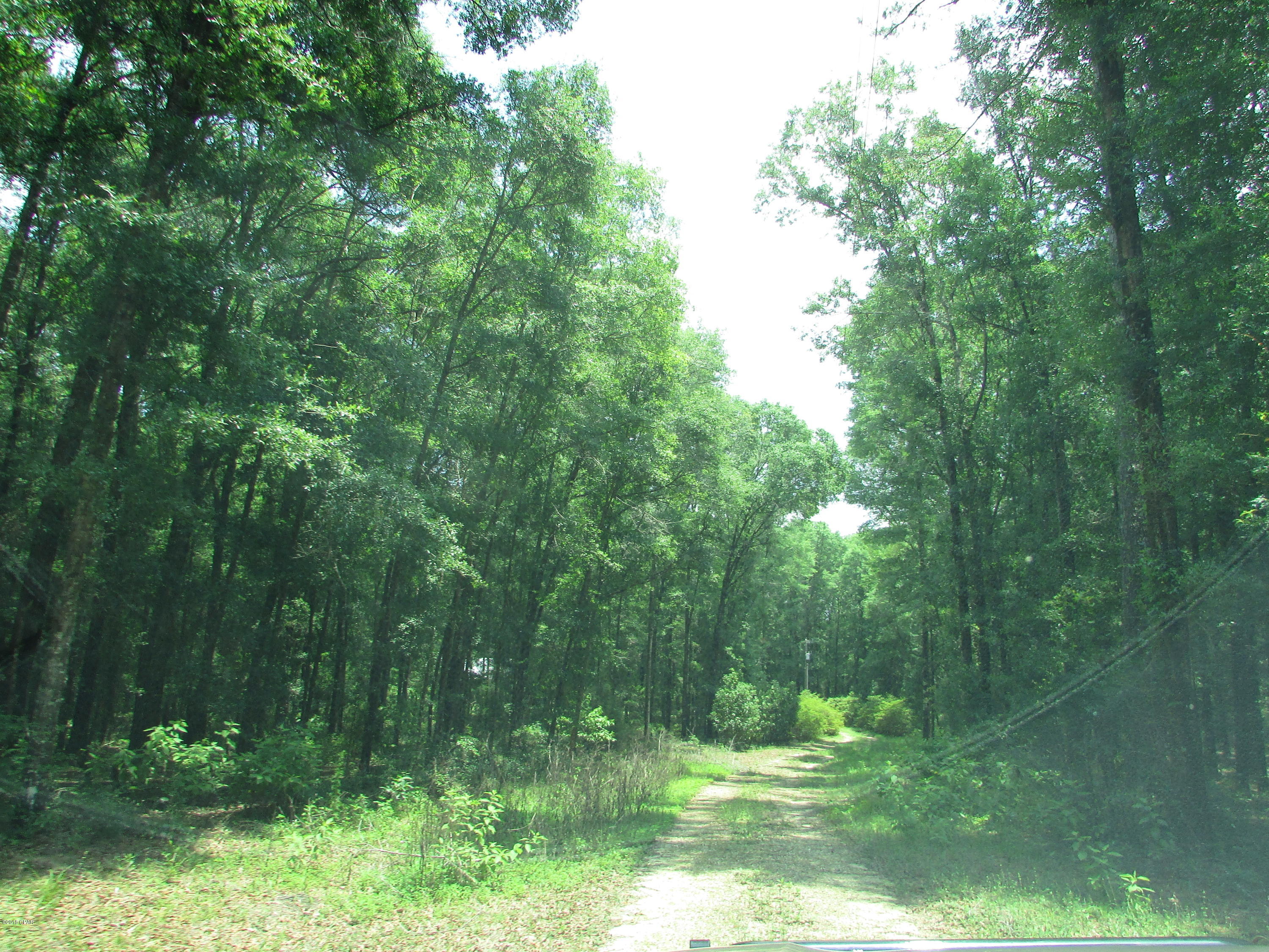 Whispering Pines Estates - Residential