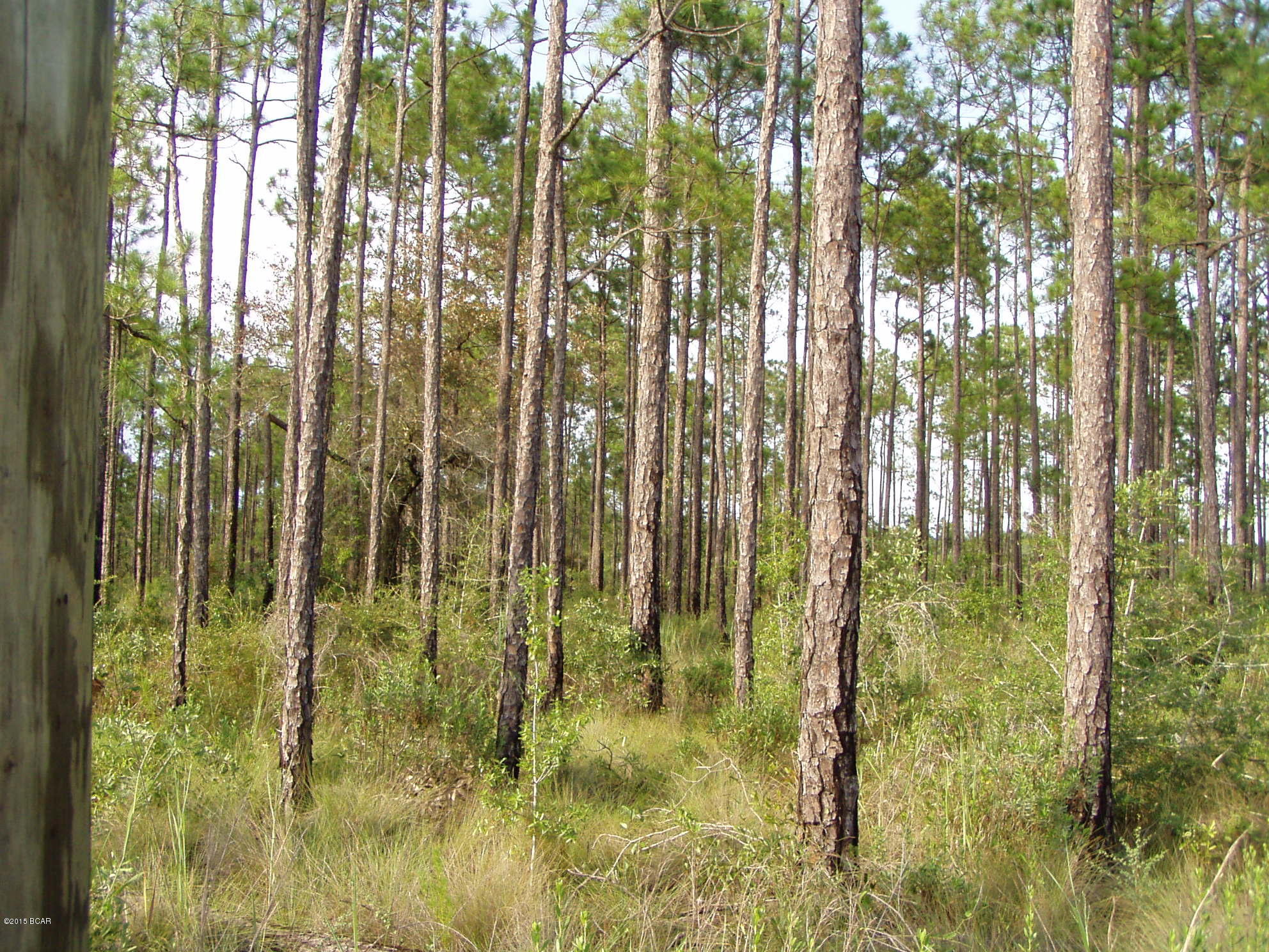 Rolling Pines - Residential