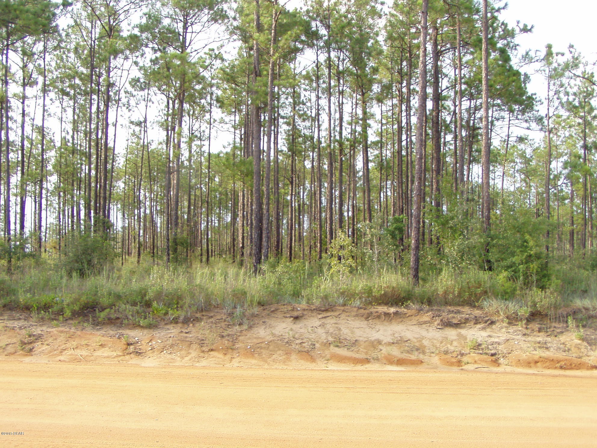 Rolling Pines - Residential