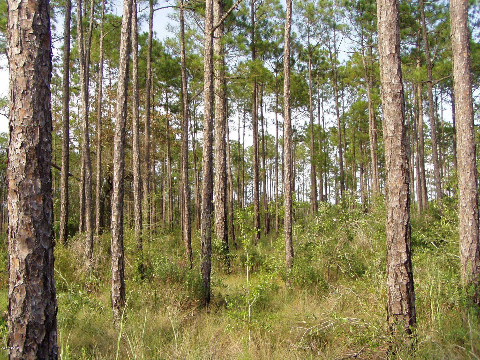 Rolling Pines - Residential