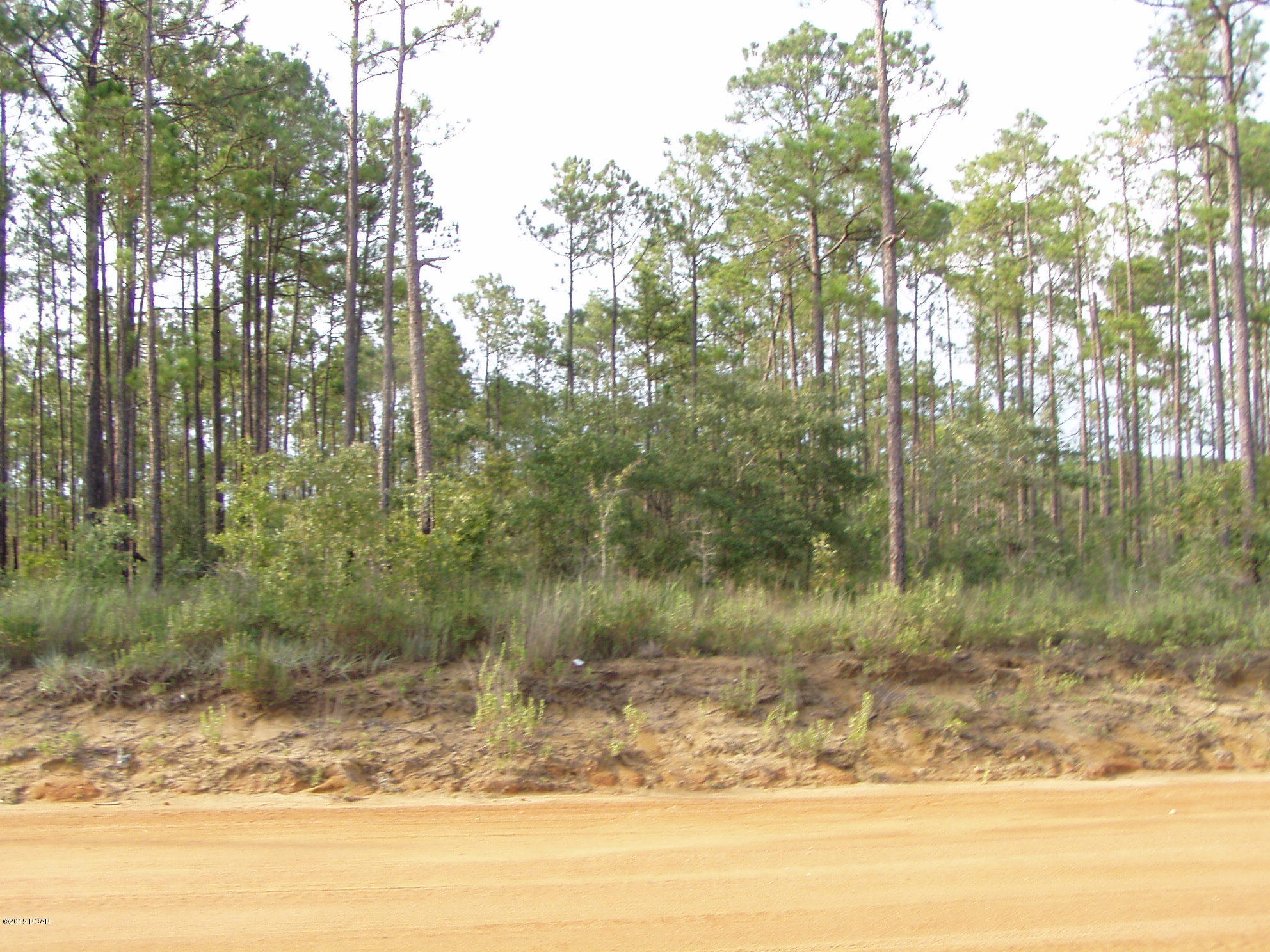 Rolling Pines - Residential