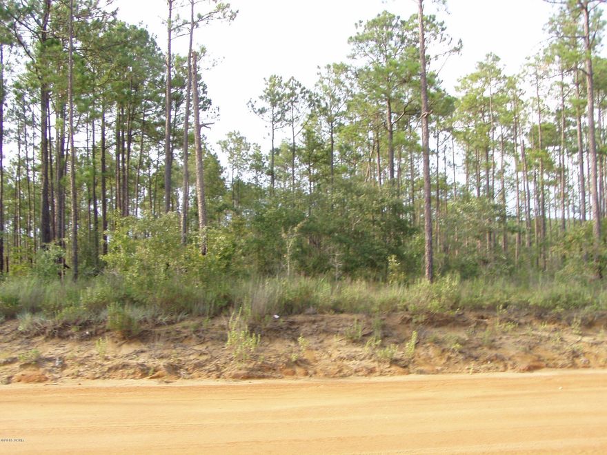 BRING YOUR HORSES!!! COWS & CHICKENS TOO. HIGH & DRY 5.3 ACRES. YOU CAN BUILD YOUR HOUSE OR SET UP MOBILE HOME & PUT UP A POLE BARN W/STALLS & TACK ROOM & PLENTY OFROOM FOR A ROUND PEN TOO! LOTS OF HORSE PEOPLE OUT THERE TO RIDE WITH..WATER MANAGEMENT ACRES TOO..CANT BE SUBDIVIDED BUT CAN HAVE 4 DWELLINGS W/SEPARATE WELLS/SEPTICS..ROLLING PINES IS PAVED,RADCLIFF IS CLAY &  MAINTAINED. SELLER HAS NO SURVEY,SORRY