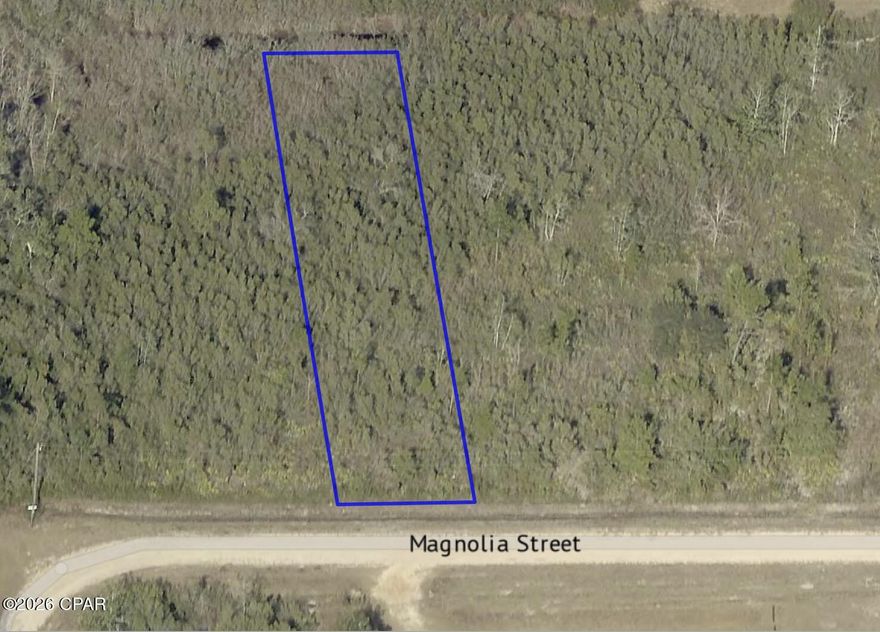 Affordable vacant lot in the peaceful community of Fountain, Florida! This 50' x 270' property, zoned R-2, is perfect for a single-family home or mobile home, giving you flexible options to build or place your next residence. Enjoy quiet rural living with convenient access to Hwy 231. Whether you're a first-time buyer, investor, or looking for a future homesite, this lot offers excellent potential at a great price. Owner financing available! This is a fantastic opportunity to secure land without the hassle of traditional lending--easy terms and a smooth process for qualified buyers. Property Highlights: 50' x 135' lot in growing Fountain, FL, R-2 zoning allows single-family homes or mobile homes, Peaceful area with room to grow, Owner financing available, Ideal for investors, builders, or affordable living plans. Don't miss your chance to own land with flexible financing options--start building your future today. Additional adjacent land available.