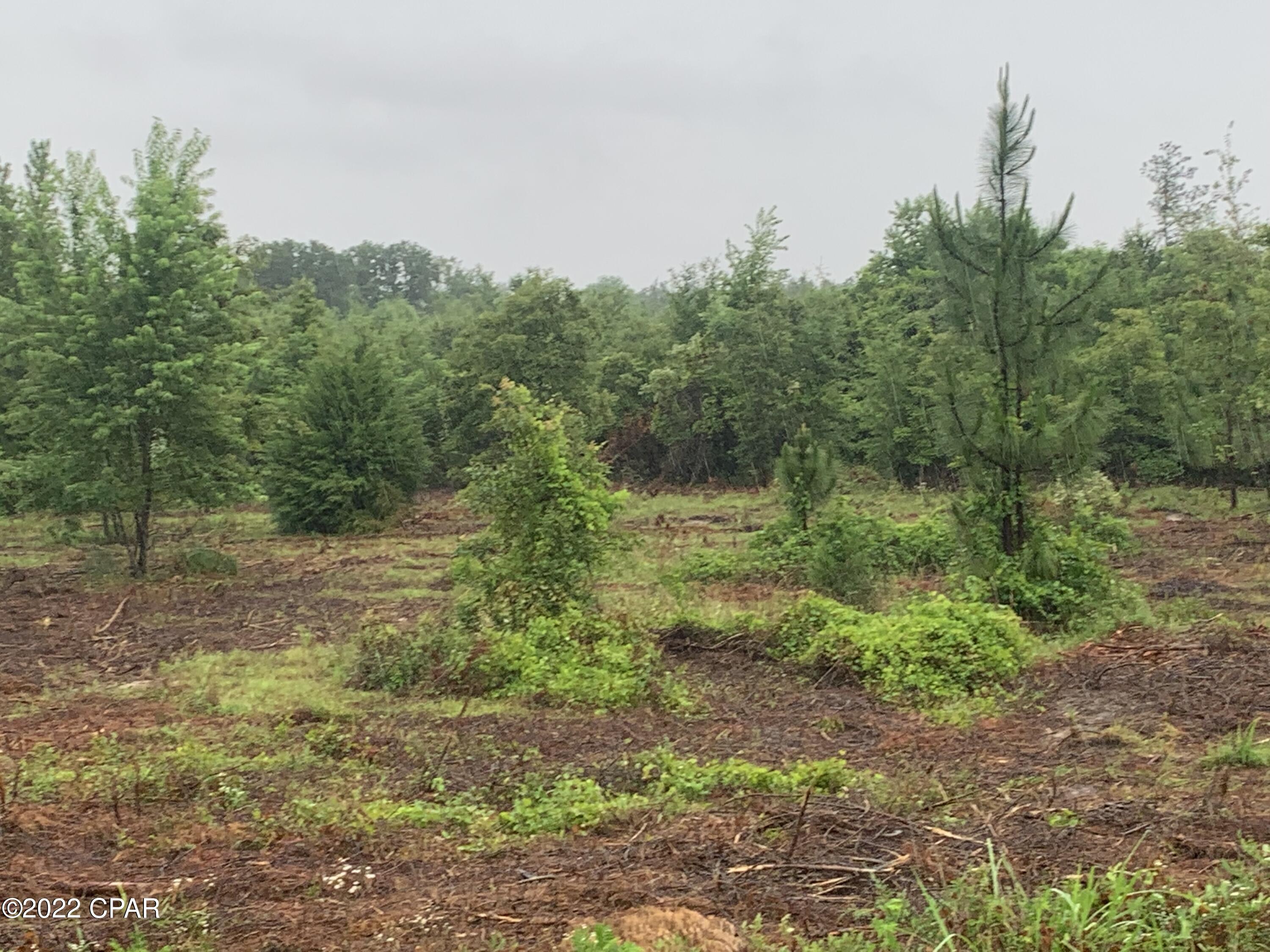 No Named Subdivision - Land