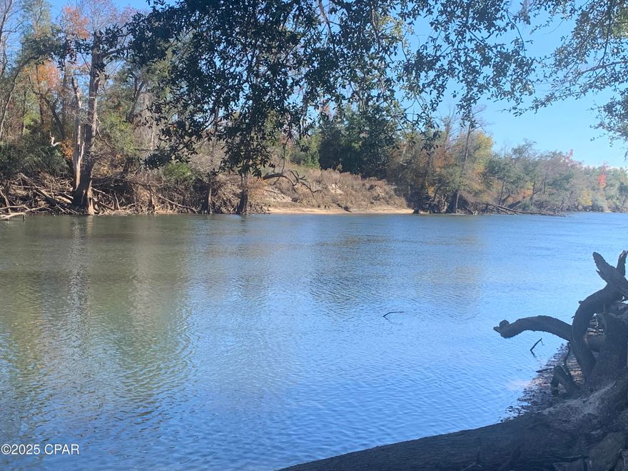 THE PERFECT RIVER FRONT LOT! On Magnificent & Beautiful CHIPOLA RIVER! This lot is on a high bluff-ridge and in only a very rare flood event can water get up to the lot's edge. Homes built on stilt-pilings have never flooded in this area. It is rare to have a river front lot that is as high and dry as this one! Docks are allowed on the river! PLUS this lot already has it's own boat ramp landing! It is over a full acre and has 187 FEET ON THE RIVER! It is one of the cleanest water rivers anywhere, as the headwaters are derived from multiple underground springs, including Blue Springs, Florida Caverns, and many more! And the best freshwater fishing anywhere! It has largemouth bass! It has the rare Shoal Bass! It has blue gills & red bellies & speckled perch & shell crackers & catfish! It is a river that you will see big bass boats and small boats fishing! You can catch the fish right from the bank off this lot! You will also see folks in canoes and kayaks enjoying this wonderful river! Just up the river about a mile is Laramore Landing and is a popular summer swimming & tubing area! This is a serene quiet area and the perfect place to build that dream retirement home, or vacation R&R Getaway! Or, just come make it your home on the river, where you can entertain your friends! Possible Owner financing, with at least 20% down, 7 % APR, 5 yr baloon, 10 yr amortization, must qualify.