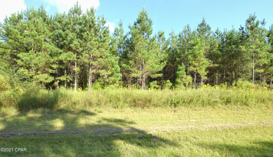 Have you been looking for the perfect homesite to build your dream home? You'll love this 9.015-acre parcel covered in planted pines that is directly located off Old Bonifay Road. Property is situated close to schools, shopping and Hwy 77. Additional adjoining acreage available.
