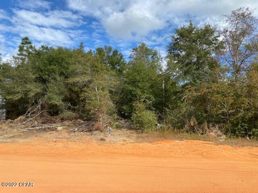 This .229 acre property is perfect for a home or trailer.  The owners have 7 other properties listed and will accept $110,800 for all 8 properties which would be great as an investment opportunity.  The other 7 properties are MLS #733946, #733949, #733950, #733951, #733952, #733953, #733954