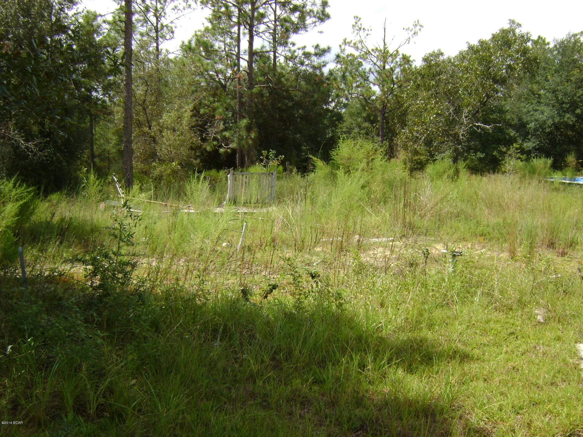 Grassy Pond Ranch - Land