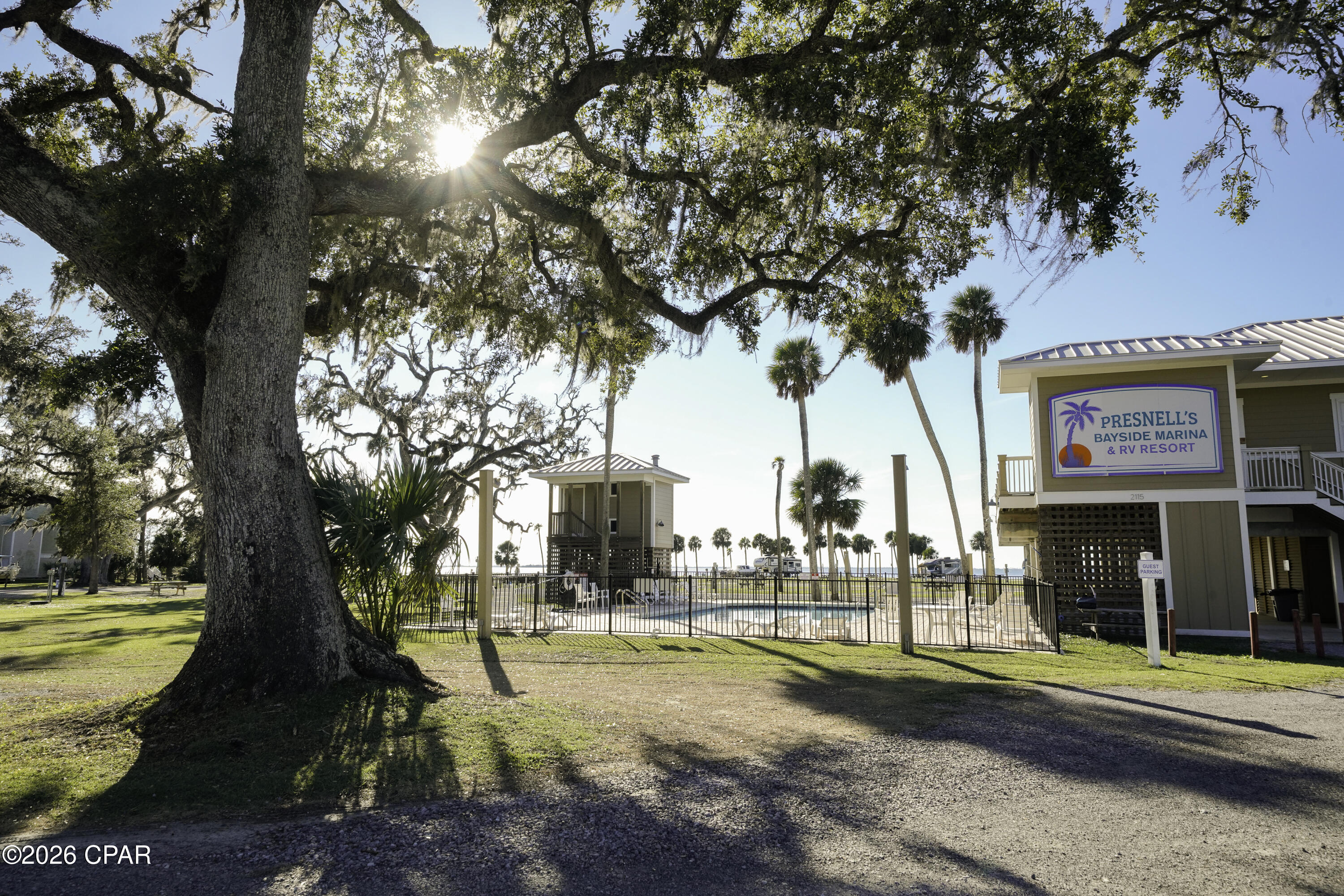 Shallow Reed - Residential