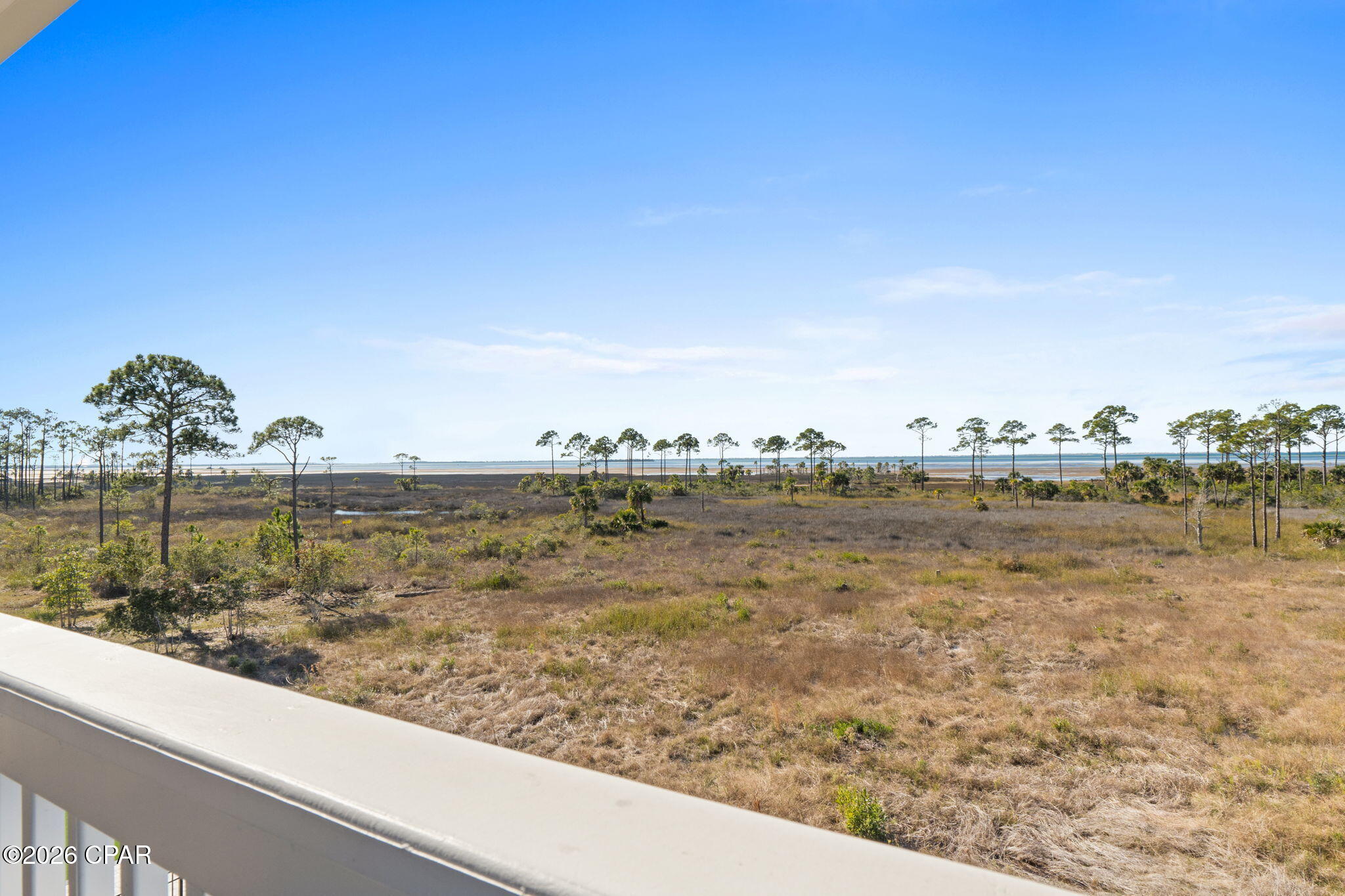 Shallow Reed - Residential