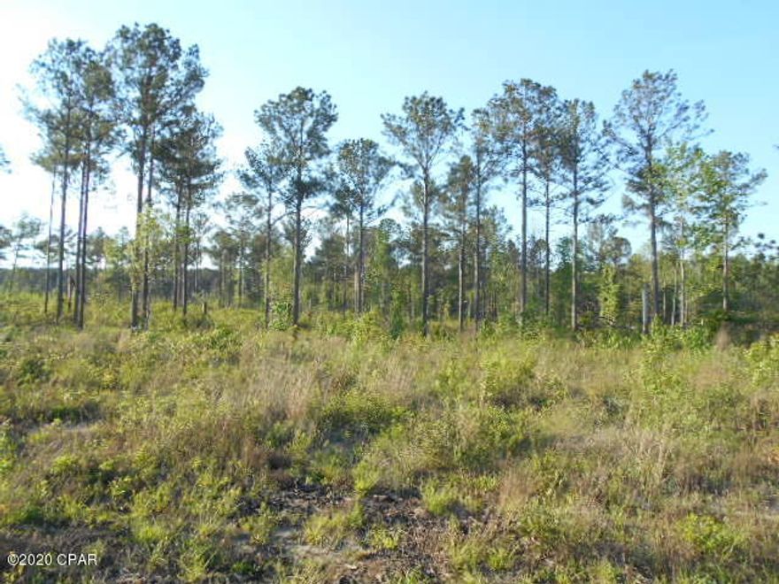 Social Distancing At It's Best! This 300 acres has as good of soils as anywhere in the SE! Upland-mineral red-land clay-loam soils that would fertilize most Florida soils! Great farmland, horse pasture land, cattle ranch! Wonderful hunting, best deer & turkey hunting in the state. It has 2 ponds and a 10 acre lake that is beautiful and full of fish! Mostly high & dry! Yes it is only a mile from Lake Seminole and Chattahoochee River! Times get hard and you can't get groceries at the store, here's the remedy: Live off the land (Deer-Turkey-Quail) and the fish (bass, bream, crappie) you catch in your on lake, or from one of the best fishing lakes in the USA (Lake Seminole) & survive unexpected hard times! This land has an existing irrigation permit for a 12 inch well and large center pivot!