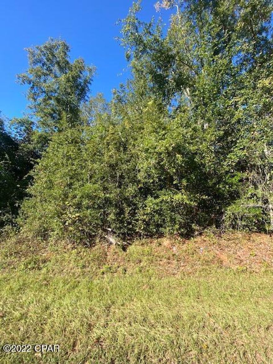 Nice wooded lot close to town and on a paved road.  Also, close to Blue Springs.