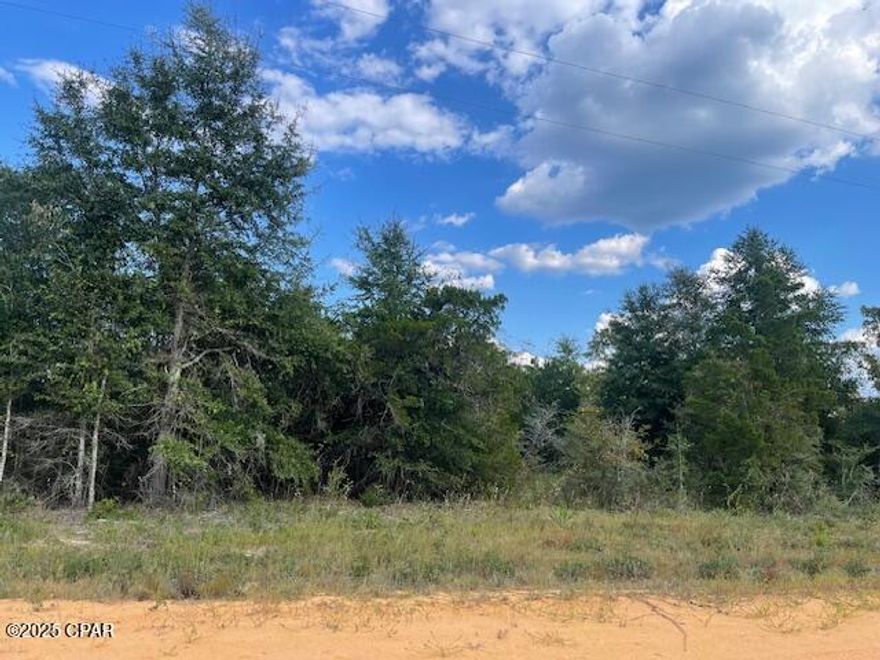 Beautiful building lot in lovely Compass Lake Hills.  This lot is just off of pavedFairview Road and will make a nice building lot for your home or for placing a manufacturned home.  
This pristine area is full of wildlife for your enjoyment.  There are deer, turkey, birds of all kind  and pretty butterflies.  This lot has easy access south to Panama City on the coast and north to Marianna for shopping.