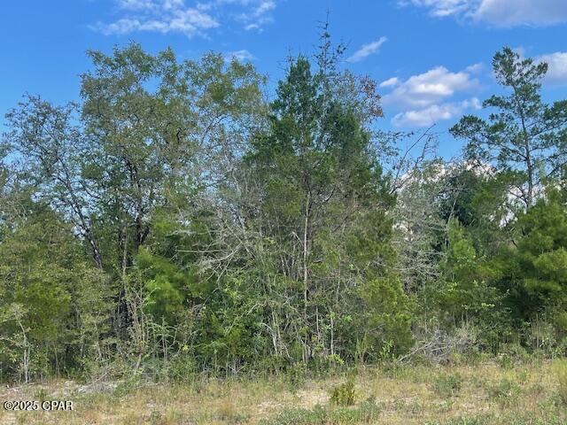 Compass Lake Hills Unit 2 - Land