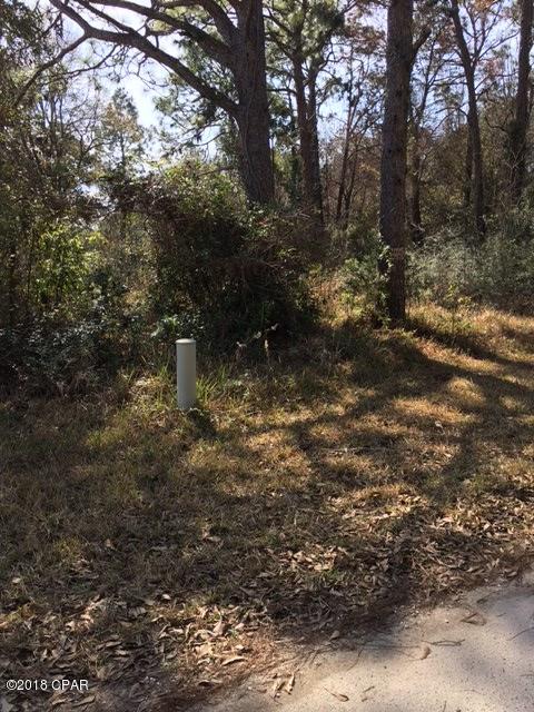 St A B Pecan & Fig Grove - Land