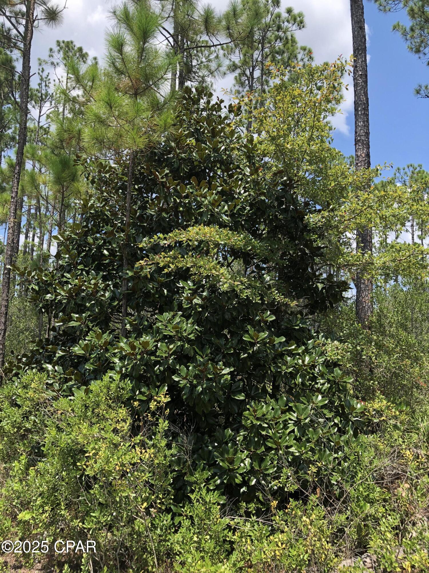 [No Recorded Subdiv] - Land