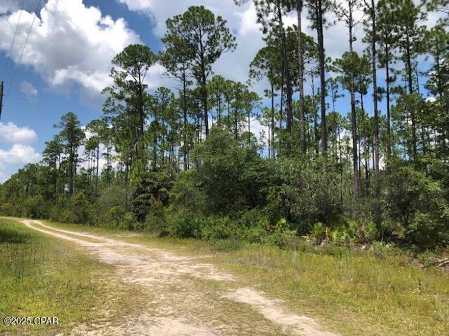 NOW is the time to invest in land! Discover land ownership in Florida. Possible Owner Financing with $20K down and the remainder of $24K being financed at 3%  over a 5 year term with a monthly payment of $431.25


🌲 HIGH AND DRY  5-Acre Wooded Retreat Near Panama City Beach - Peace, Pines & Potential! 🌿

Escape to your own private paradise with this serene 5-acre wooded lot, just 46 miles from the sugar-white sands of Panama City Beach. Nestled among towering pines, stately magnolia trees, and native saw palmettos, this untouched slice of Florida offers the perfect setting for your dream home, getaway cabin, or long-term investment.

✅ Power access available - Utilities are in the area and ready to connect
✅ Low property taxes - Only $183.69/year, making this an incredibly affordable opportunity
✅ Natural beauty and privacy - Enjoy the sounds of birdsong and the rustle of leaves, not traffic
✅ No HOA - Freedom to create your vision without restrictive oversight

Whether you're looking to build, camp, or simply own a piece of peaceful Florida, this property offers tranquility, space, and incredible value.