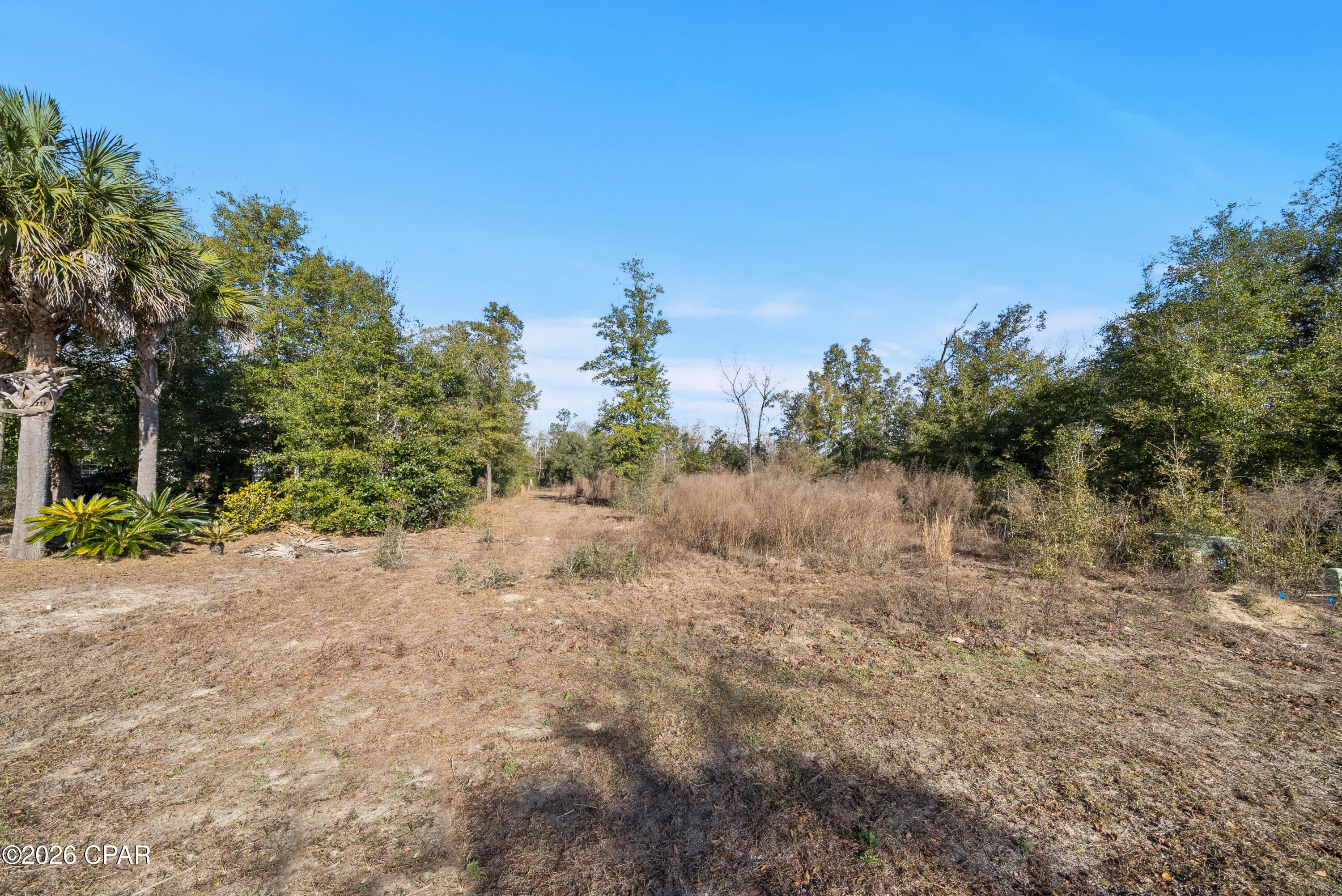 Cedar Creek Chase - Land