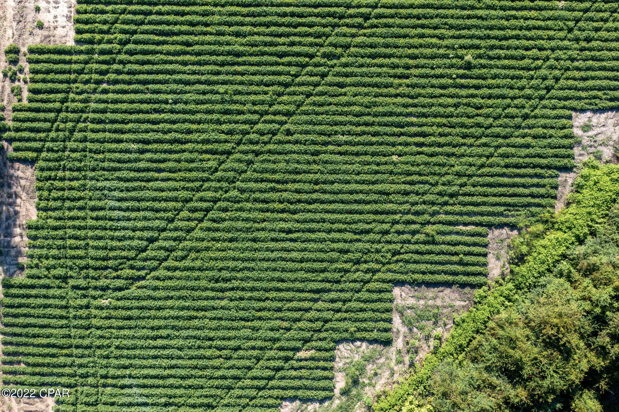 [No Recorded Subdiv] - Land