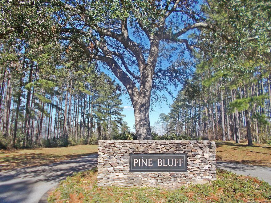 Very nice 1 plus acre lot on a paved road in Pine Bluff Sub. This parcel has some slope on it which really makes it a nice looking lot, it needs some clearing but could be made into a beautiful home site.