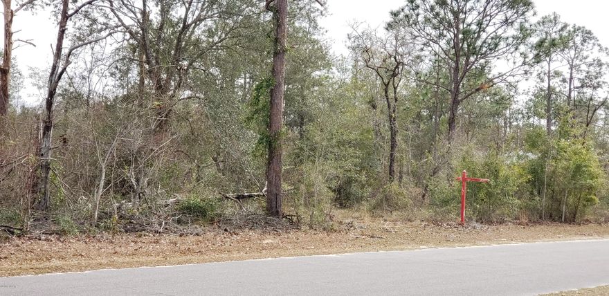 Must see corner lot, waterview in Leisure Lakes. Lots of trees, high and dry. Waiting for you!