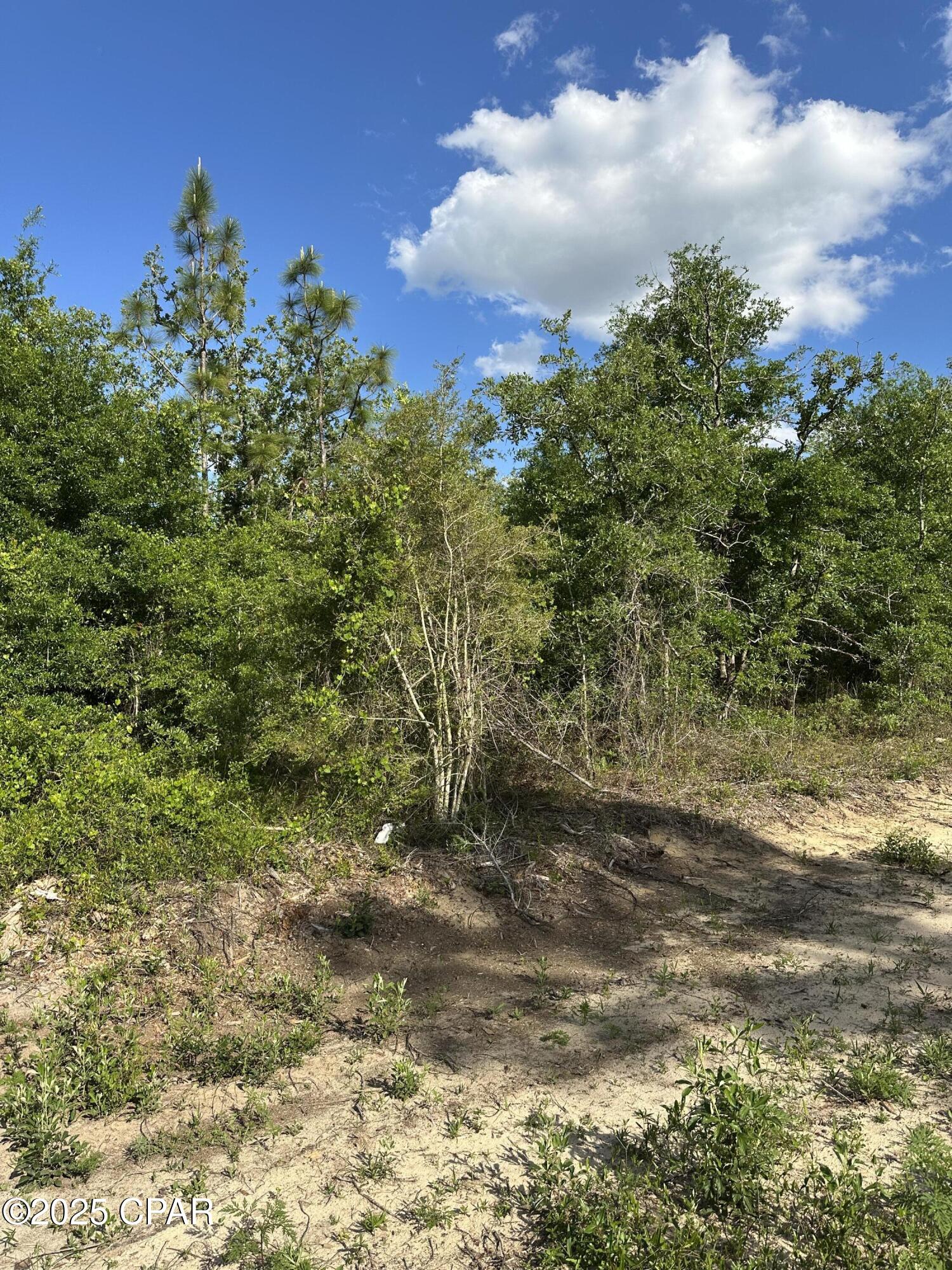 Lake Mckenzie Homes - Land