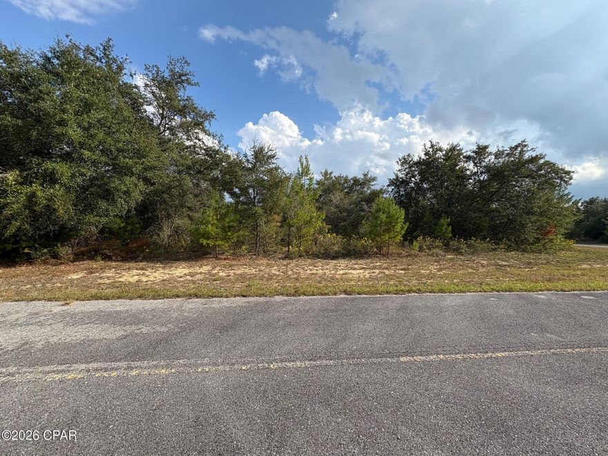 Don't miss this opportunity to secure a beautiful .229 acre building lot in Unit 2 of Sunny Hills, located on Jupiter Circle (Lot 17). This flat and level homesite offers an ideal foundation for future construction and represents an excellent value in one of Northwest Florida's steadily growing communities.

Situated in a section of Sunny Hills that has not yet been developed, this property provides a peaceful, natural setting with strong upside potential as expansion continues throughout the area. Whether you're looking to build in the future or purchase a smart investment lot at today's pricing, this parcel checks all the boxes.

Sunny Hills is known for its rolling elevations, wooded landscapes, and community amenities including an 18 hole public golf course, numerous lakes and parks, and easy access to Highway 77. From here, you're just minutes north to Chipley and approximately 30 minutes south to Panama City and the Gulf Coast beaches.

With continued growth and new construction spreading throughout Sunny Hills, now is the time to invest in a well positioned lot at an affordable price. Secure your piece of Florida land today.