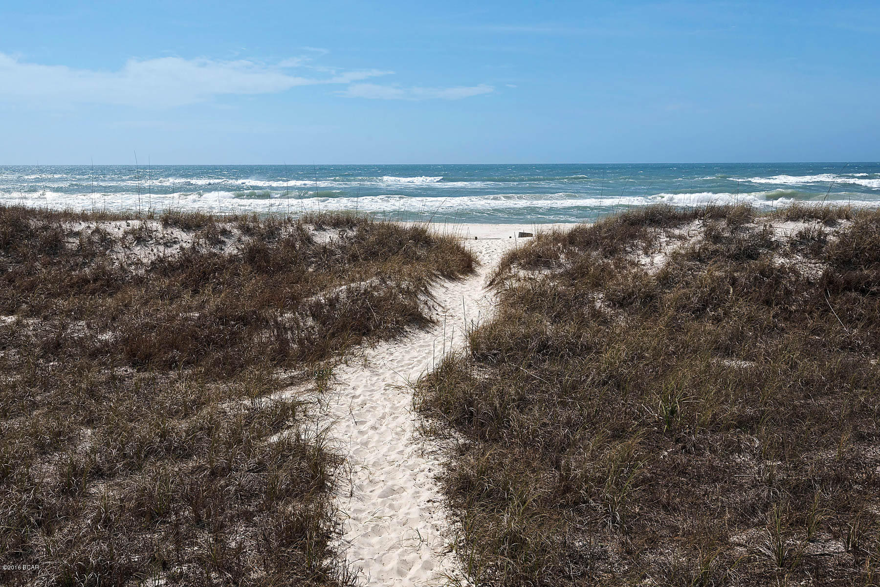 Santa Monica Beach - Land