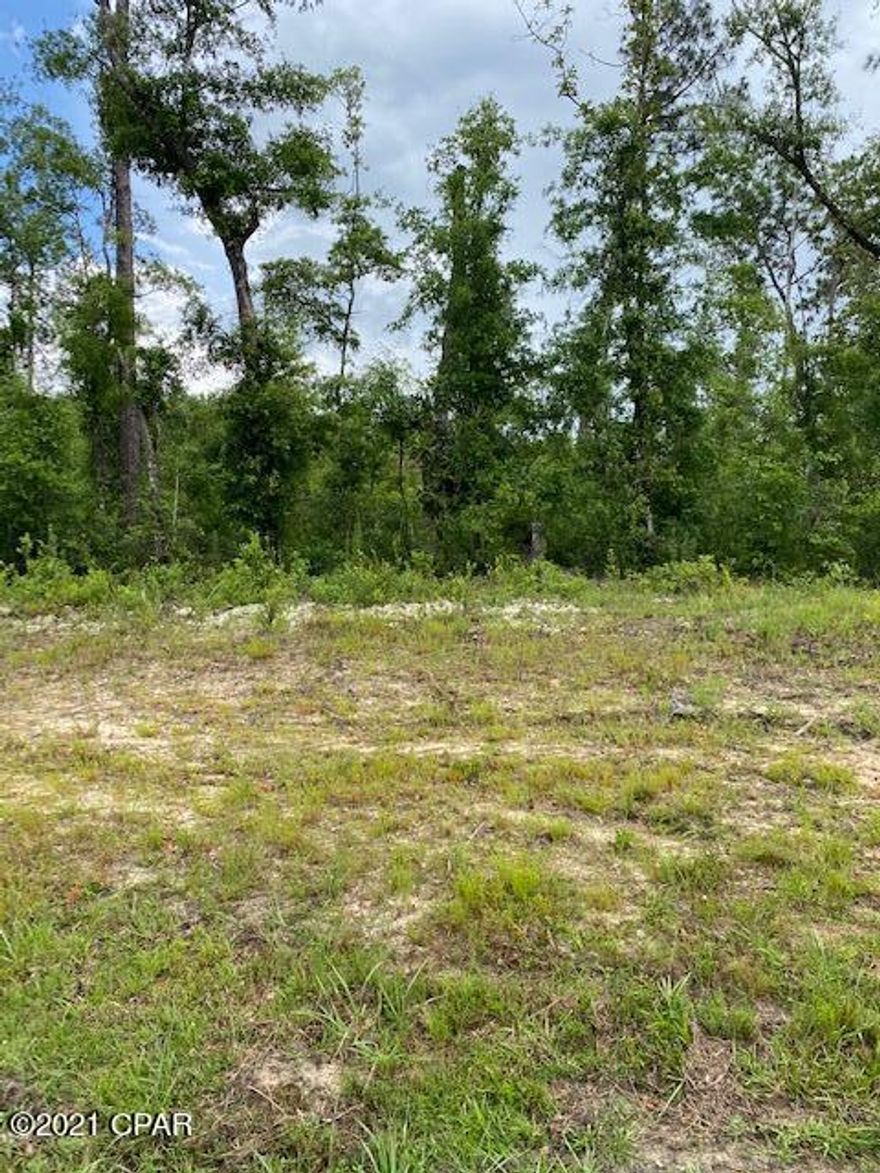 Paved road frontage just south of Alford Fl. This is a small parcel to be surveyed out of larger parcel.  Will consider owner financing.