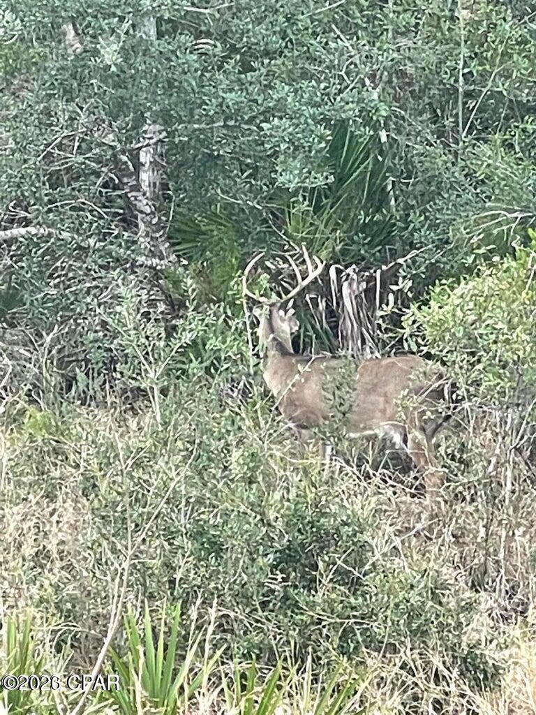 Sanctuary Beach - Residential