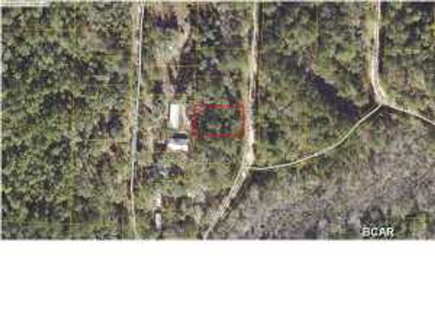 Beautiful lot in quiet fishing community,minutes from boat landing and some great fishing. Not to far from beaches or shopping. great for building your family home or a fisherman's get-away.