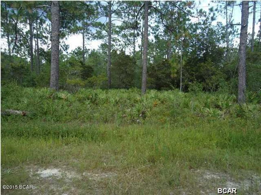 Looking for a nice large lot to put a Manufactured Home. This lot is a corner lot located not far from Hwy 231. Has some larger trees and would make a great home site. Priced to sell!!!Price Reduced!!!