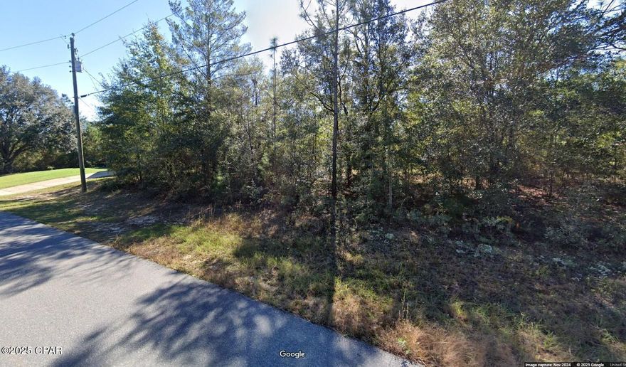 WOW!! Just a short distance off Rt 77!! Very close to the Boat Lake Swim Park!! Powerlines and waterlines already on the street!! Nice building lot for single-family homes in the quickly growing subdivision of Sunny Hills!! ...what are you waiting for...Sunny Hills boasts the magnificent Sunny Hills Golf and Country Club!! No time frame to build in...homes only subdivision, no mobile homes...no HOA!! Come build your dream home now!! Don't miss out, call today!!!