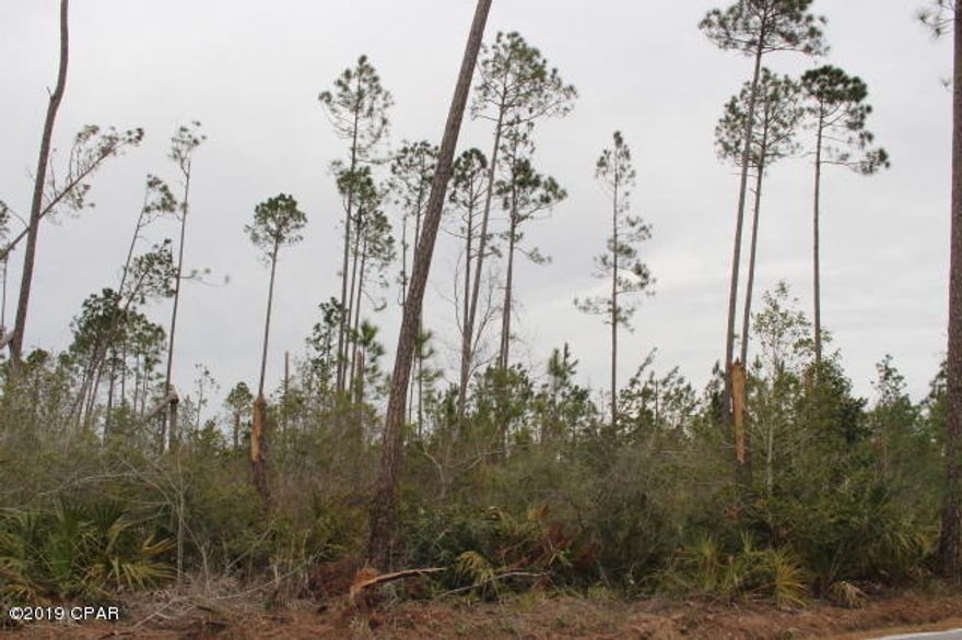 Wooded acreage of planted pines and small cypress head located in the county on a paved road. Close to Lake McKenzie,  library & park, and sheriff's Hub station. 45 minute drive or less to Panama City to Beaches and to the NW Florida Beaches International Airport