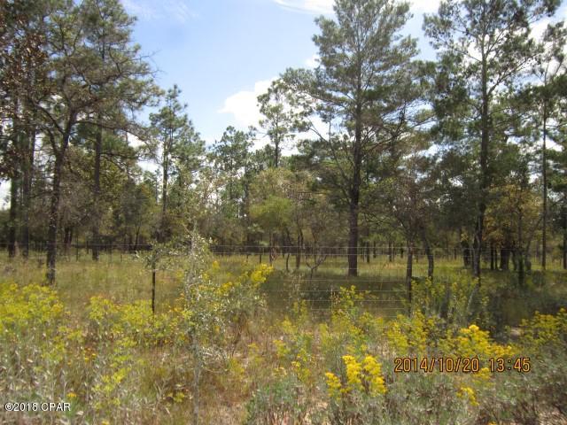 Deer Run Ranchettes - Land