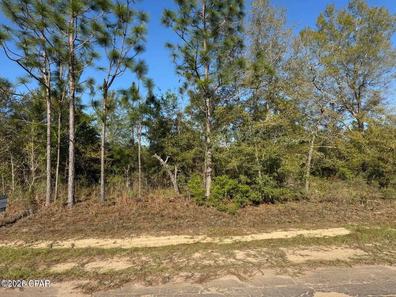 Lot 45 Cavalier Drive