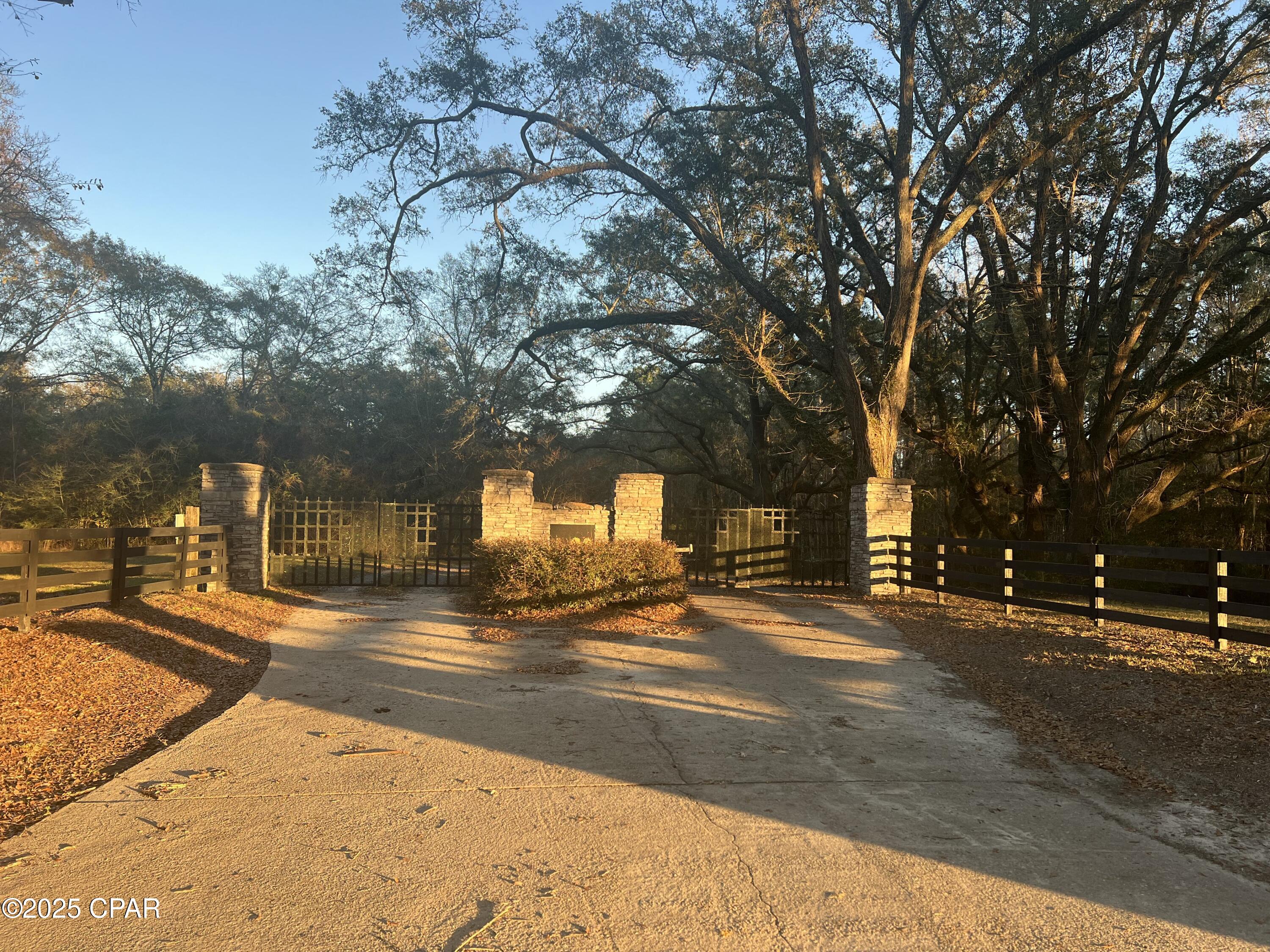 Canopy Crossing - Land