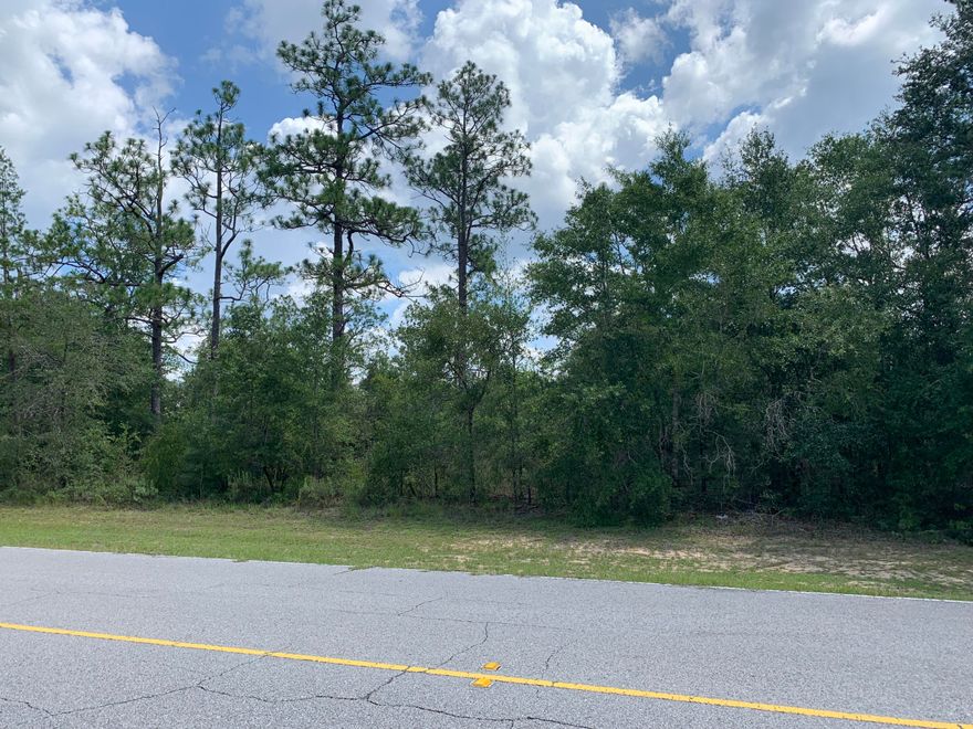 High and dry lot in the beautiful Sunny Hills. This lot is located 25 minutes North of Lynn Haven on a nice paved road, near the lakes, and golf course of Sunny Hills. It would be a wonderful place to build your dream home, or for the investor to build a spec home. Water available through US Water and septic will be needed. If your out driving around be sure to go by and check out the Sunny Hills community and all it has to offer.