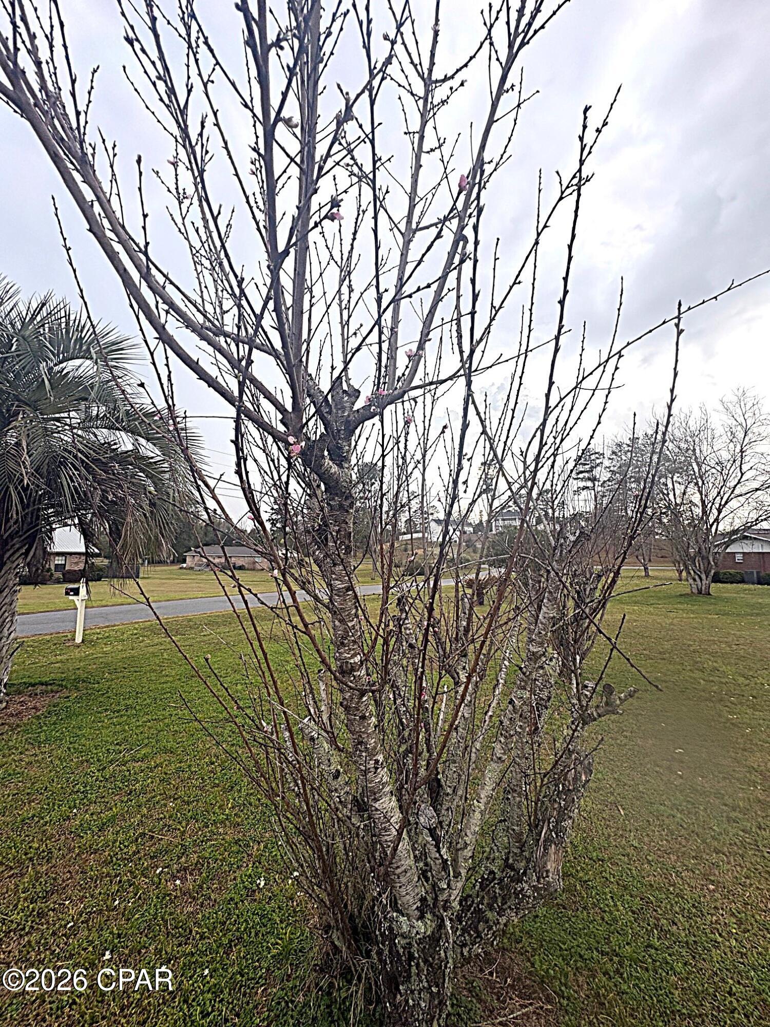 Meadowview Estates - Residential