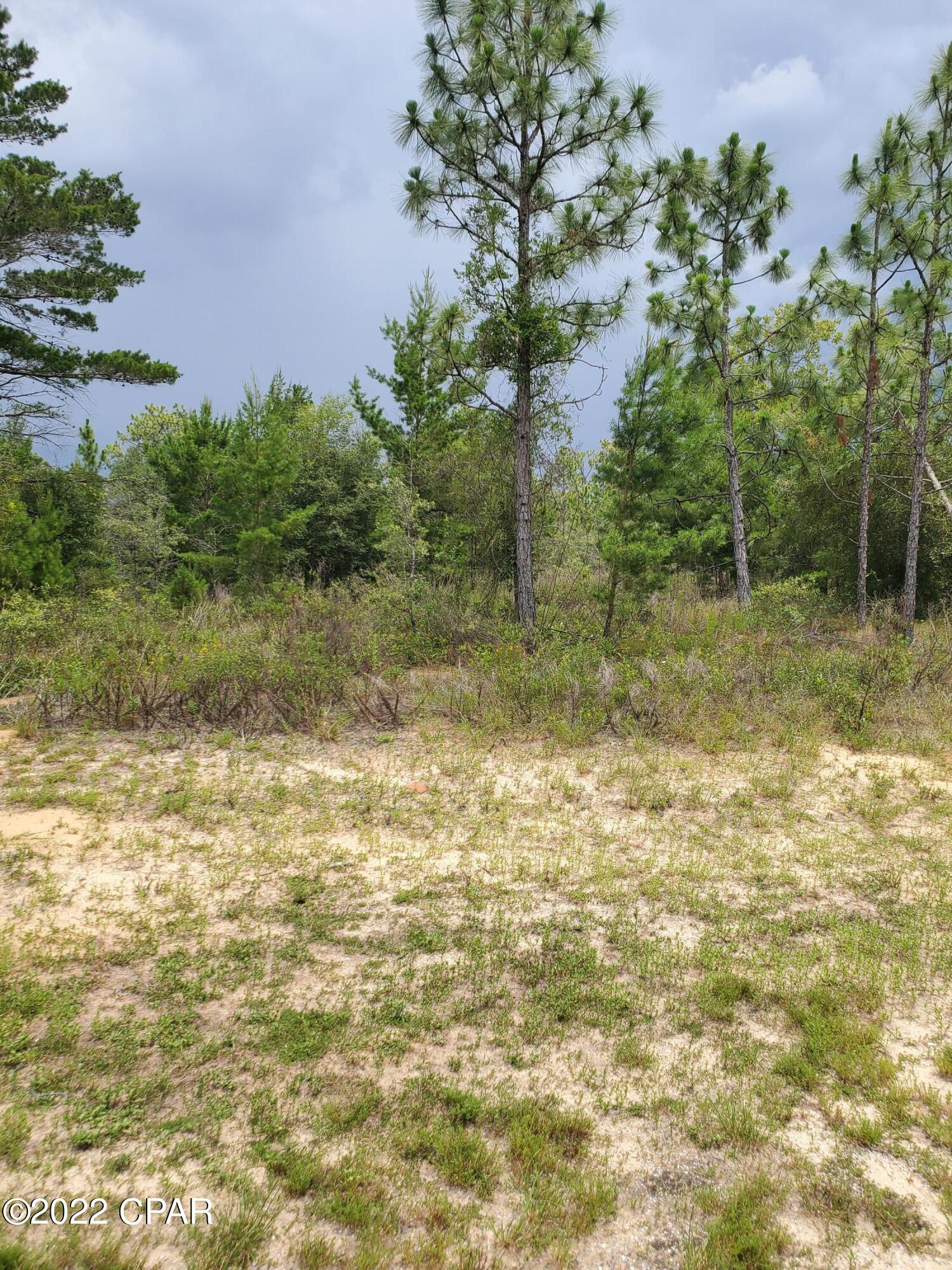 Sunny Hills Unit 2 - Land